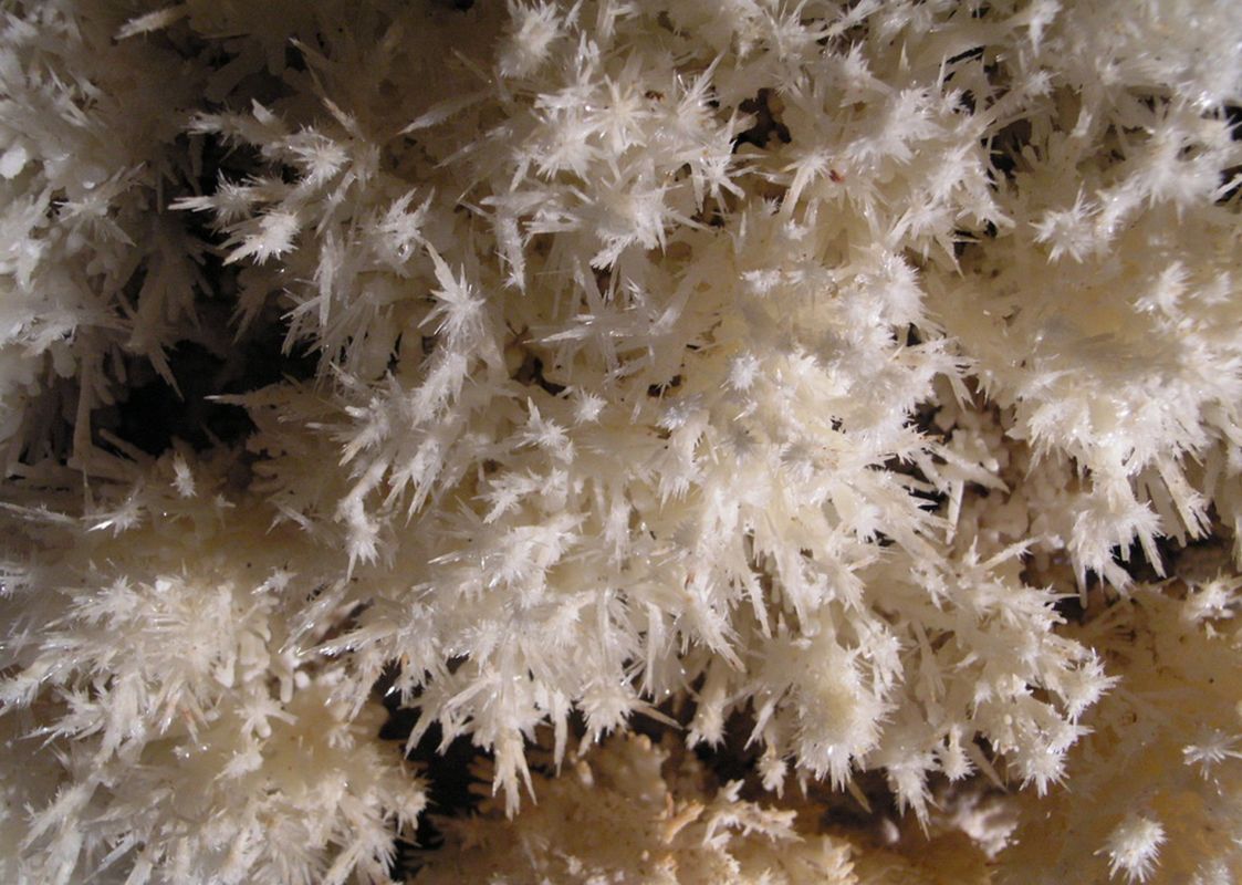 Мамонтовая Пещера (Эмине-Баир-Хосар)