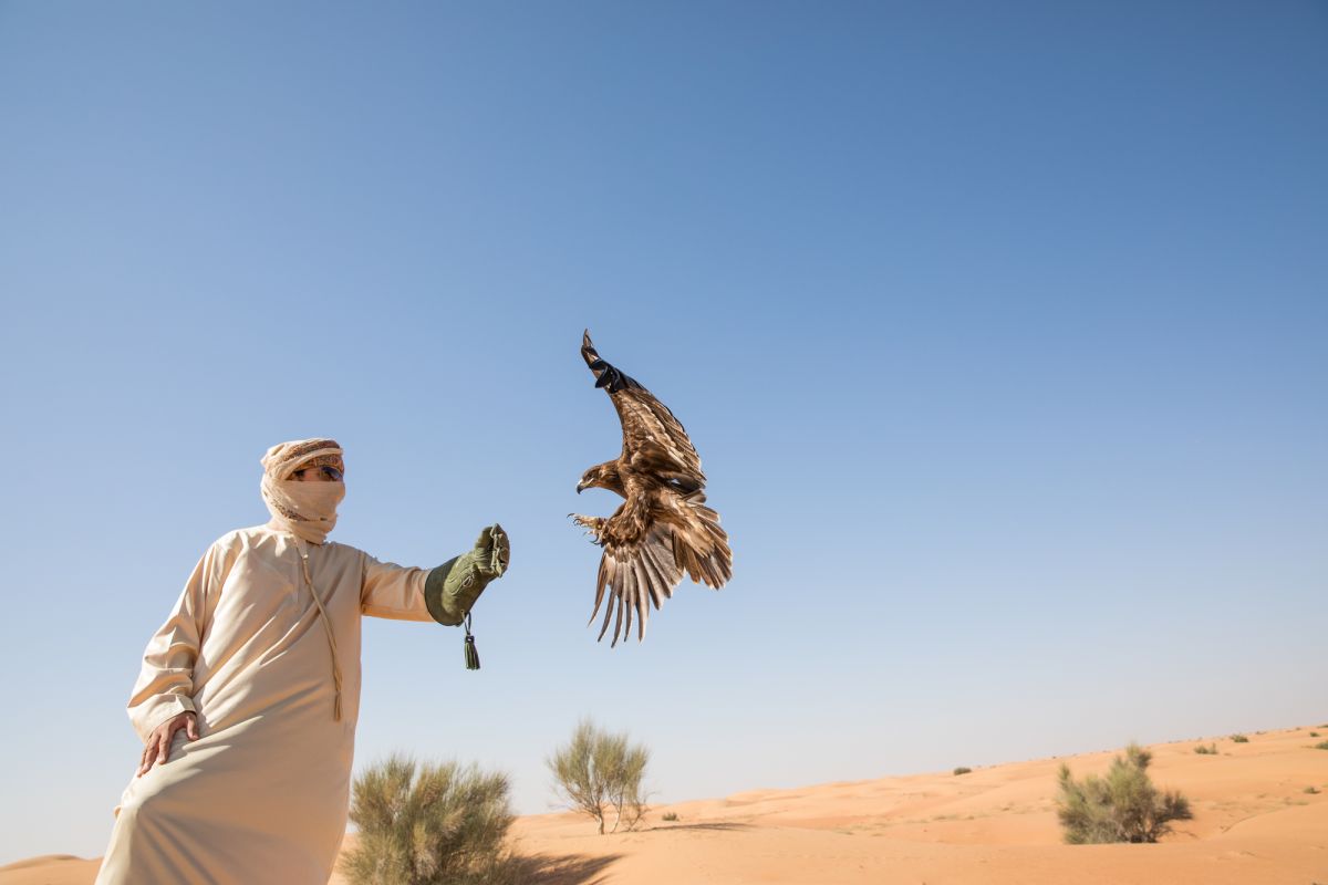 11 мест, где можно познакомиться с удивитель... фото