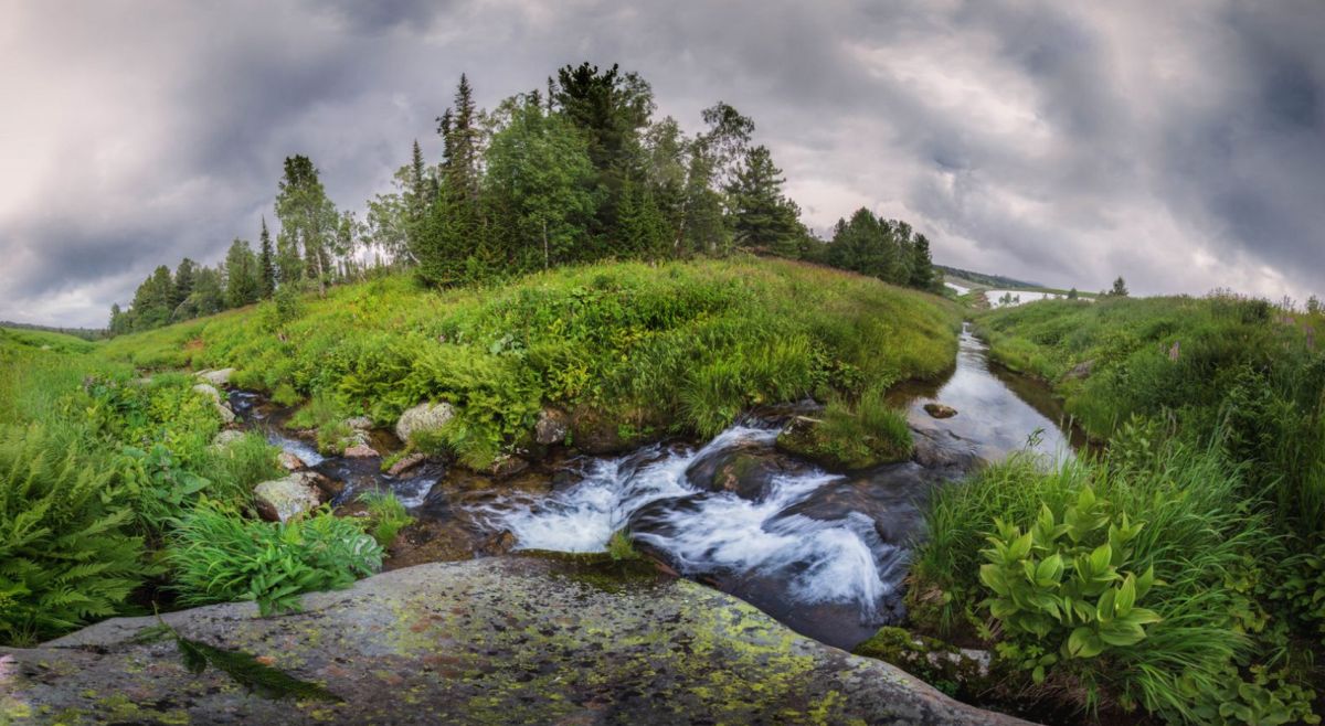 Тигирекский заповедник