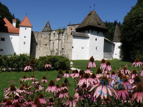 Жицкий Картезианский Монастырь