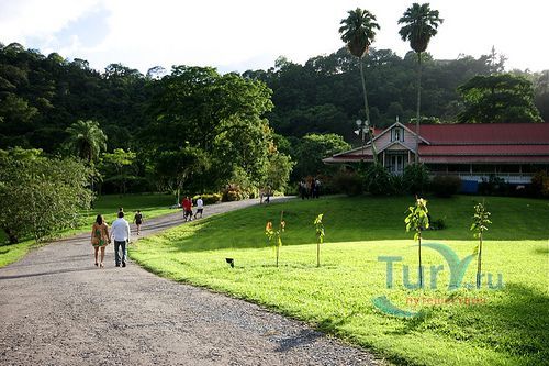 Сент Джозеф