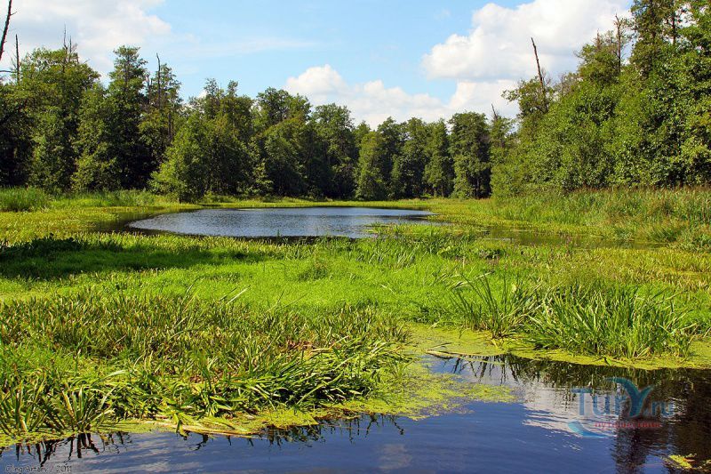 Мордовский заповедник