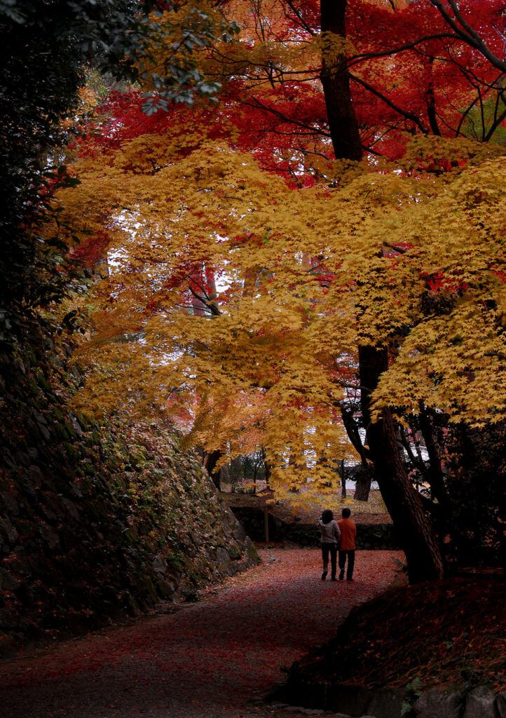 Штаб-квартира Омото (руины замка Тамба Камеяма)