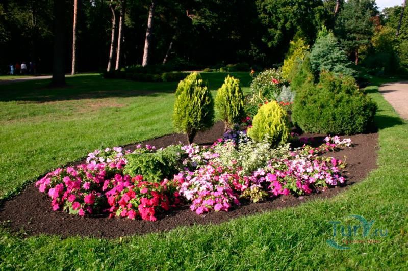 Ботанический парк в Паланге