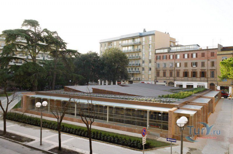 Дом Хирурга