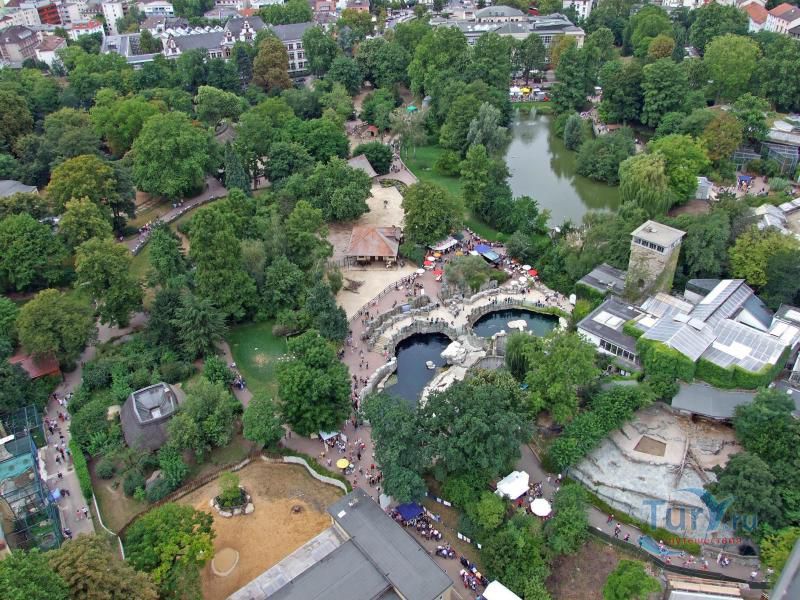 Зоопарк во Франкфурте-на-Майне