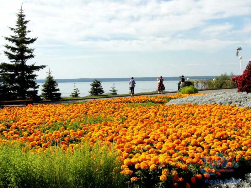 Обзорная Площадка у Монумента Славы в Парке Победы