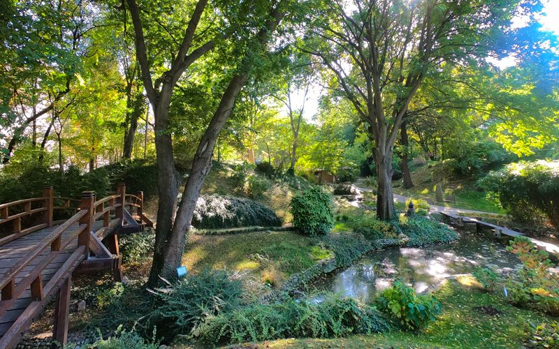 Ботанический сад Евремовац