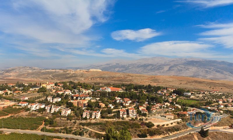 Метула