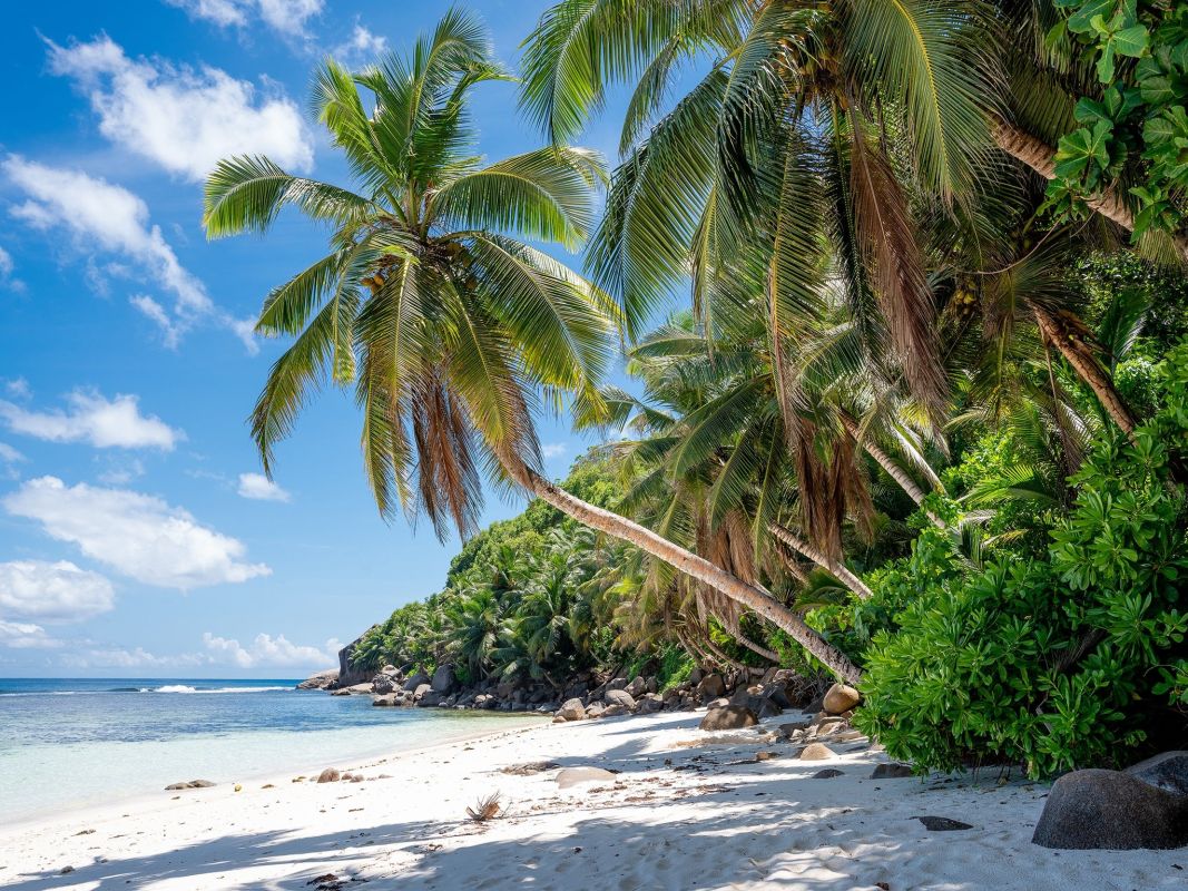 Пляж Анс Парнел