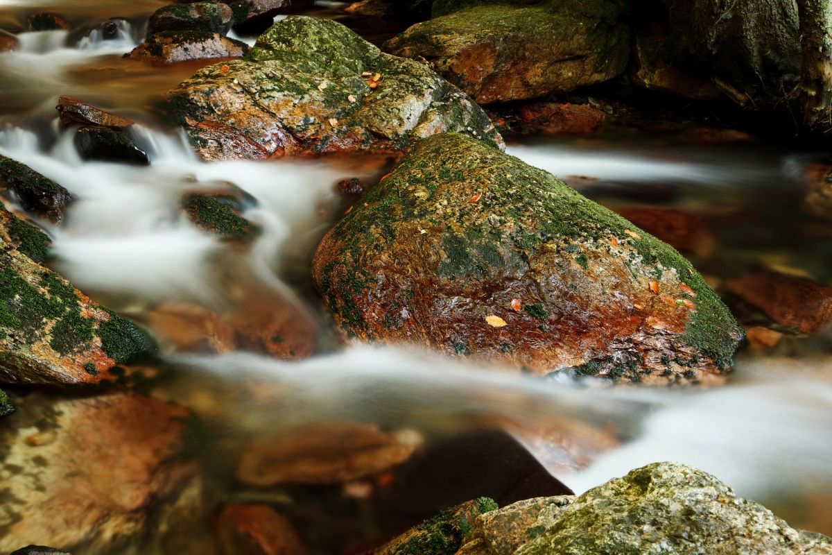 Источник Живая вода