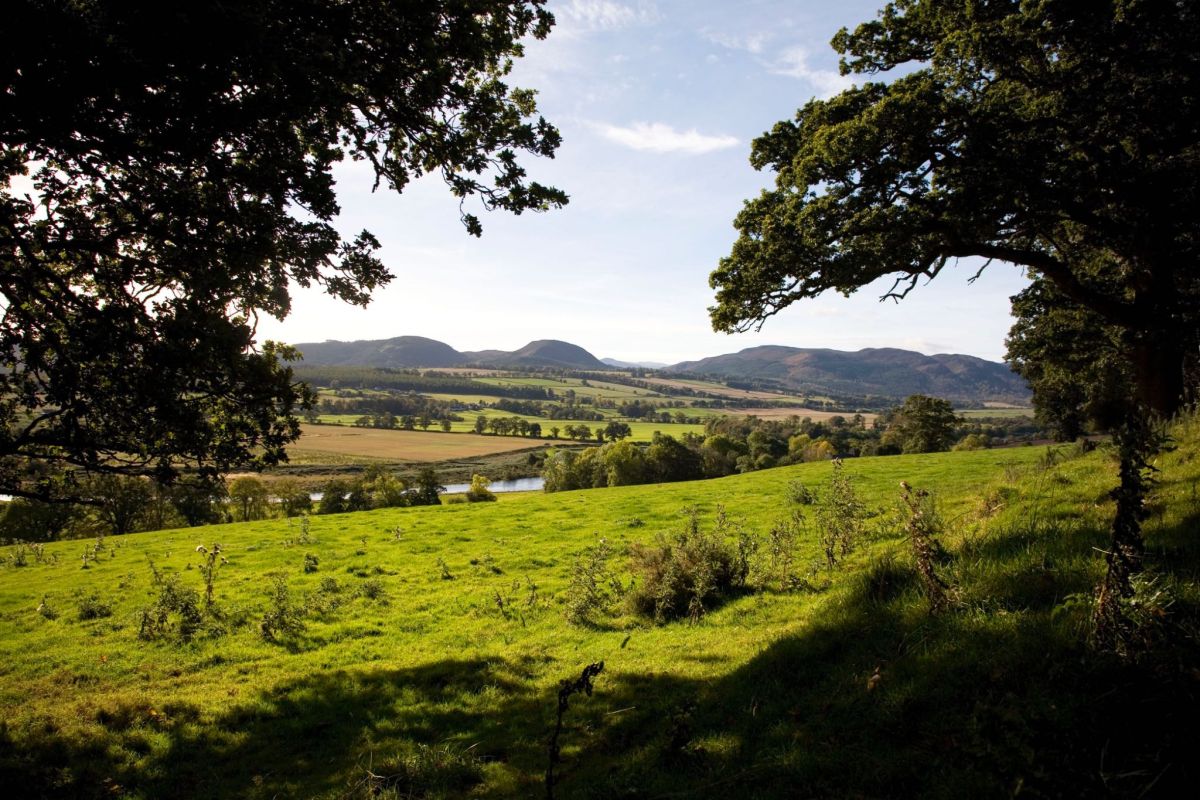 10 ГЭЛЬСКИХ НАЗВАНИЙ И ИХ ЗНАЧЕНИЯ фото